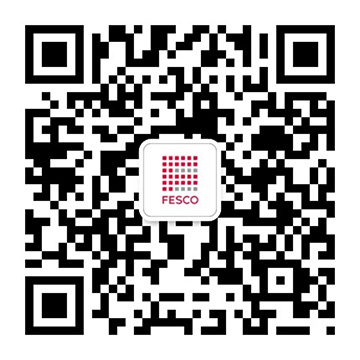 FESCO广东PG电子008国际